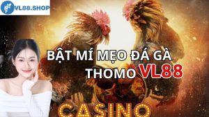 Bật mí mẹo đá gà thomo tại VL88 siêu chuẩn xác của cao thủ