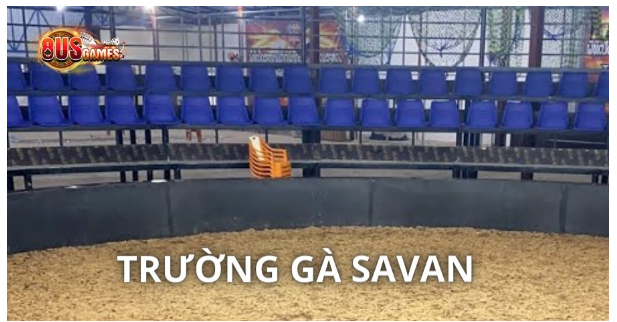 Giới thiệu đôi nét về trường gà Savan lừng danh